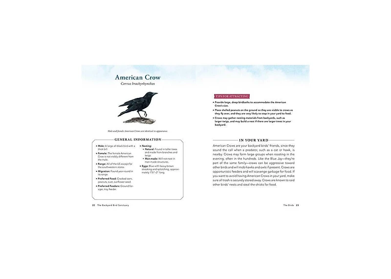 The Backyard Bird Sanctuary- A Beginner's Guide to Creating A Wild Bird Habitat At Home by Alan Baczkiewicz