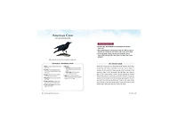 The Backyard Bird Sanctuary- A Beginner's Guide to Creating A Wild Bird Habitat At Home by Alan Baczkiewicz