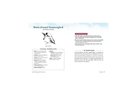 The Backyard Bird Sanctuary- A Beginner's Guide to Creating A Wild Bird Habitat At Home by Alan Baczkiewicz