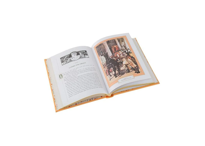 Black Beauty (Barnes & Noble Collectible Editions) by Anna Sewell