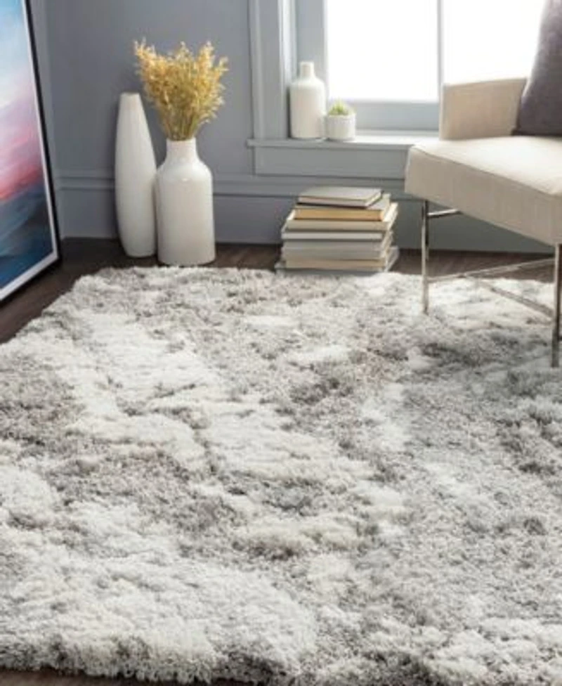 Livabliss Alta Shag Asg2301 Area Rug