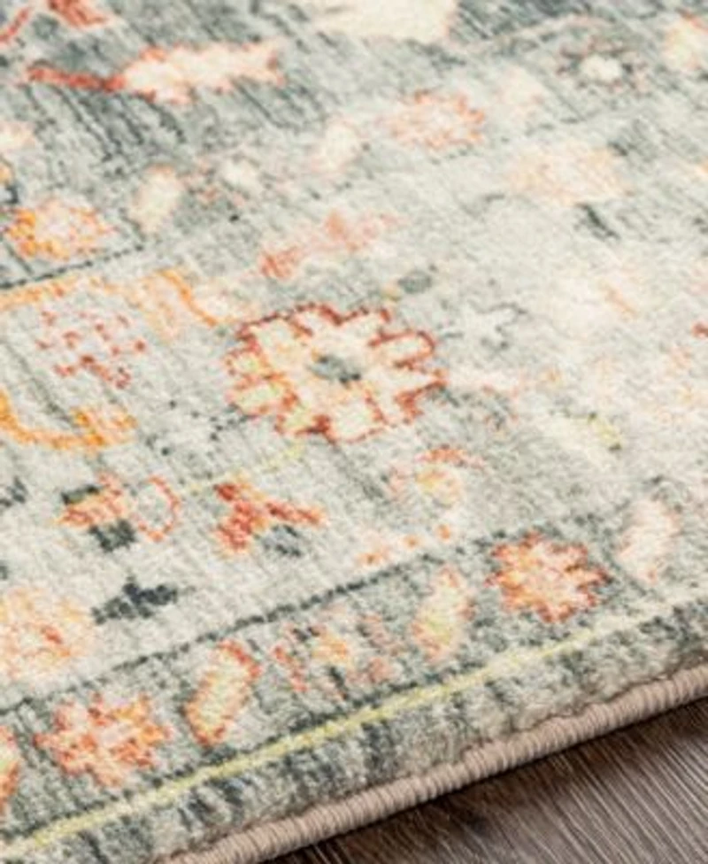 Livabliss Erin Ern2306 Area Rug
