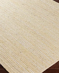 Livabliss Natural Braids NBD2301 6' x 9' Area Rug