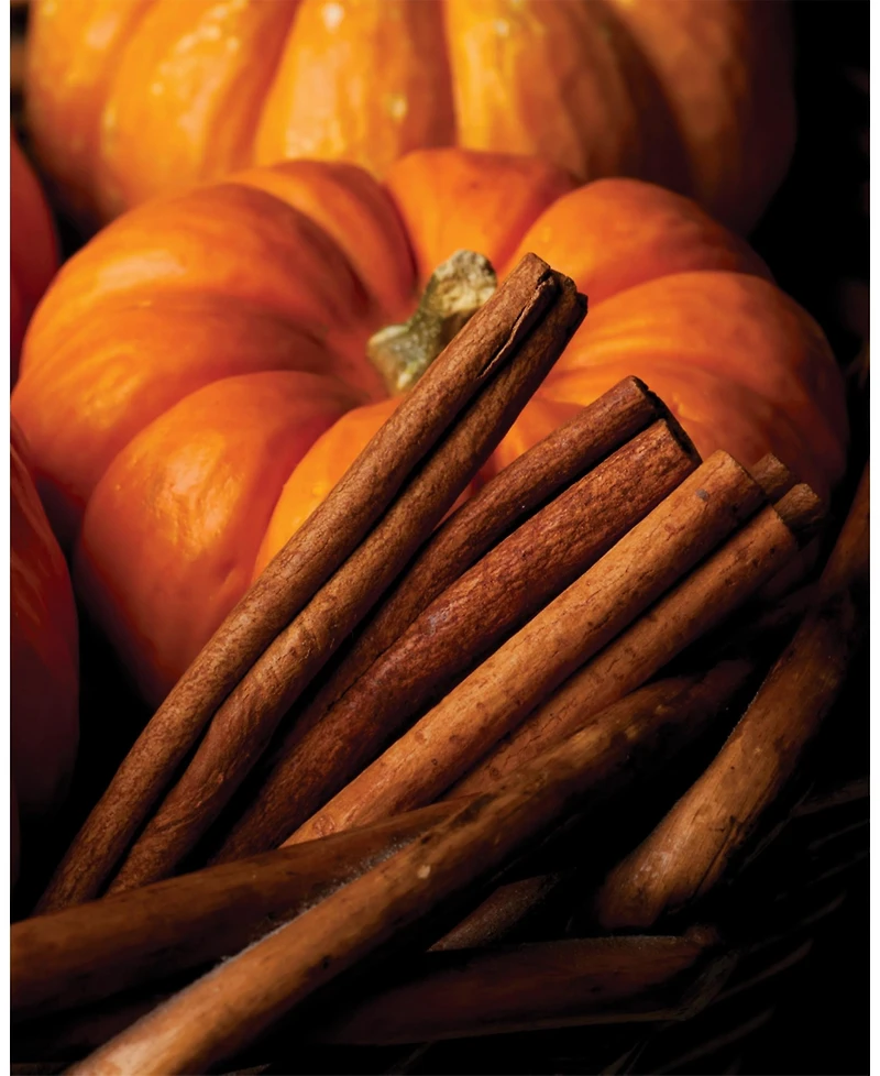 Large Veriglass Pumpkin Spice Fragrance Jar Candle