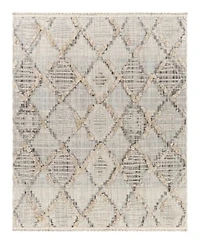 Livabliss Zaragoza Zrz 2311 Area Rugs