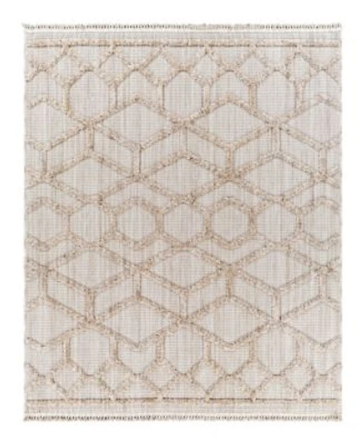 Livabliss Zaragoza Zrz 2309 Area Rugs