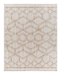Livabliss Zaragoza Zrz 2309 Area Rugs
