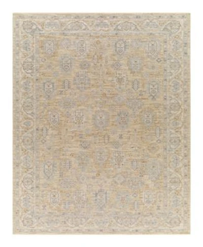 Livabliss Avant Garde Avt 2340 Area Rugs