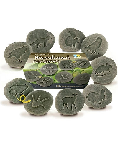 Yellow Door Let's Investigate Woodland Footprint Stones, Set of 8
