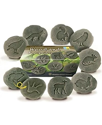 Yellow Door Let's Investigate Woodland Footprint Stones, Set of 8