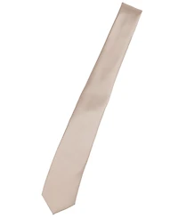 ConStruct Men's Satin Solid Extra Long Tie