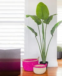 Nearly Natural 63" Travellers Palm Uv-Resistant Indoor/Outdoor Tree