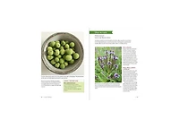 Midwest Medicinal Plants: Identify, Harvest, and Use 109 Wild Herbs for Health and Wellness by Lisa M. Rose