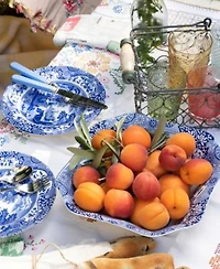 Spode Blue Italian Dinnerware Collection