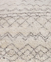 Exquisite Rugs Moroccan ER2561 8' x 10' Area Rug
