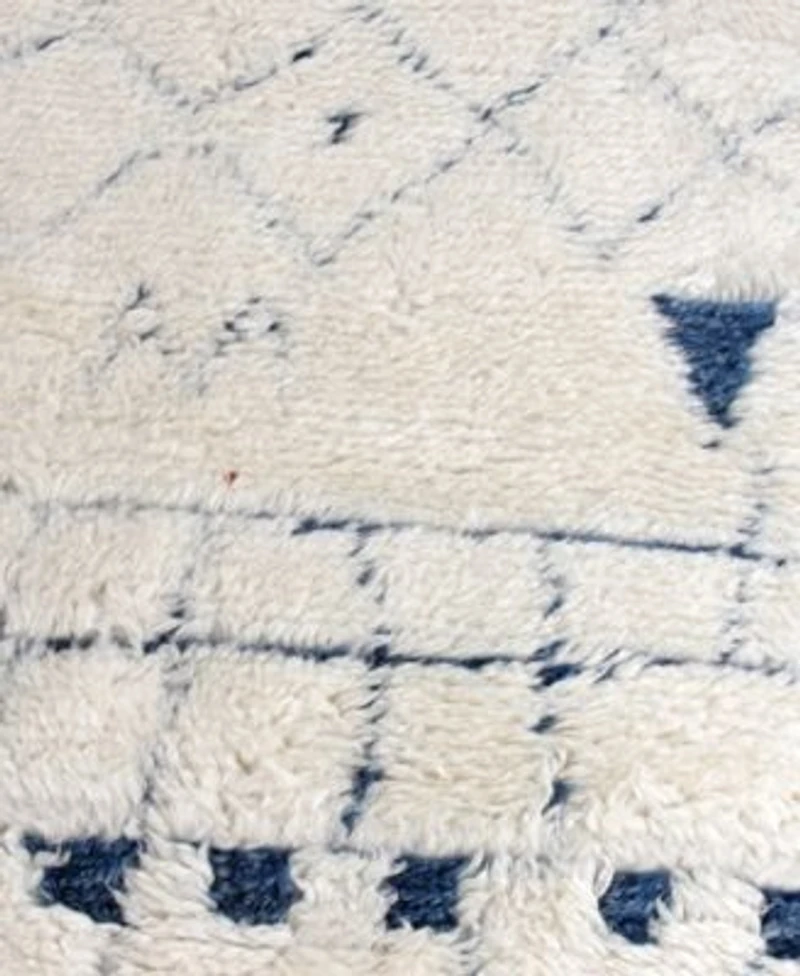 Exquisite Rugs Moroccan Er2563 Area Rug