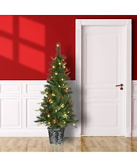 National Tree Company 5' Buzzard Pine Entrance Tree with Led Lights