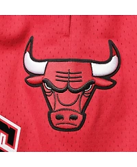 Men's Pro Standard Red Chicago Bulls Mesh Capsule Shorts