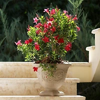 Darcy 16" Double-Walled Resin Outdoor Planter Pot - Fade-Resistant Beige Finish