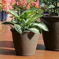 Indoor/Outdoor Patio, Garden, or Porch Weather-Resistant Double-Walled Anjelica Flower Pot Planter - 16" - Rust Finish