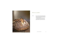 Evolutions in Bread: Artisan Pan Breads and Dutch-Oven Loaves at Home [A baking book] by Ken Forkish