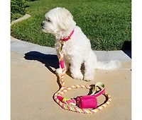 PoisePup Pet Dog Collar - Candy Swirl