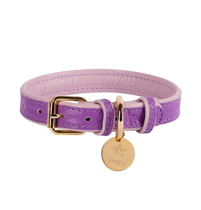 PoisePup Pet Dog Collar - Lavish Lavender