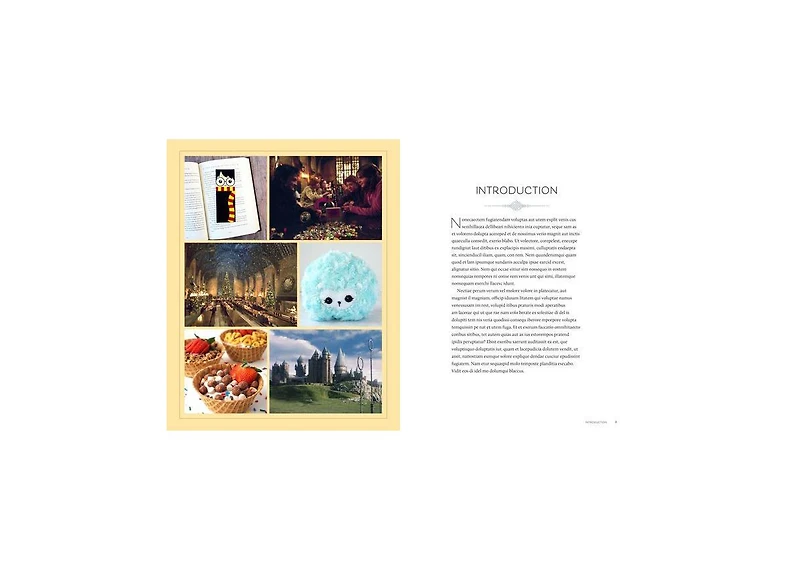 Harry Potter: Homemade: An Official Book of Enchanting Crafts, Activities, and Recipes for Every Season by Lindsay Gilbert