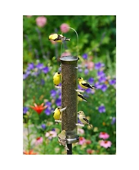 Aspects ASP400 Quick Clean Nyjer Tube Bird Feeder Brushed Nickle