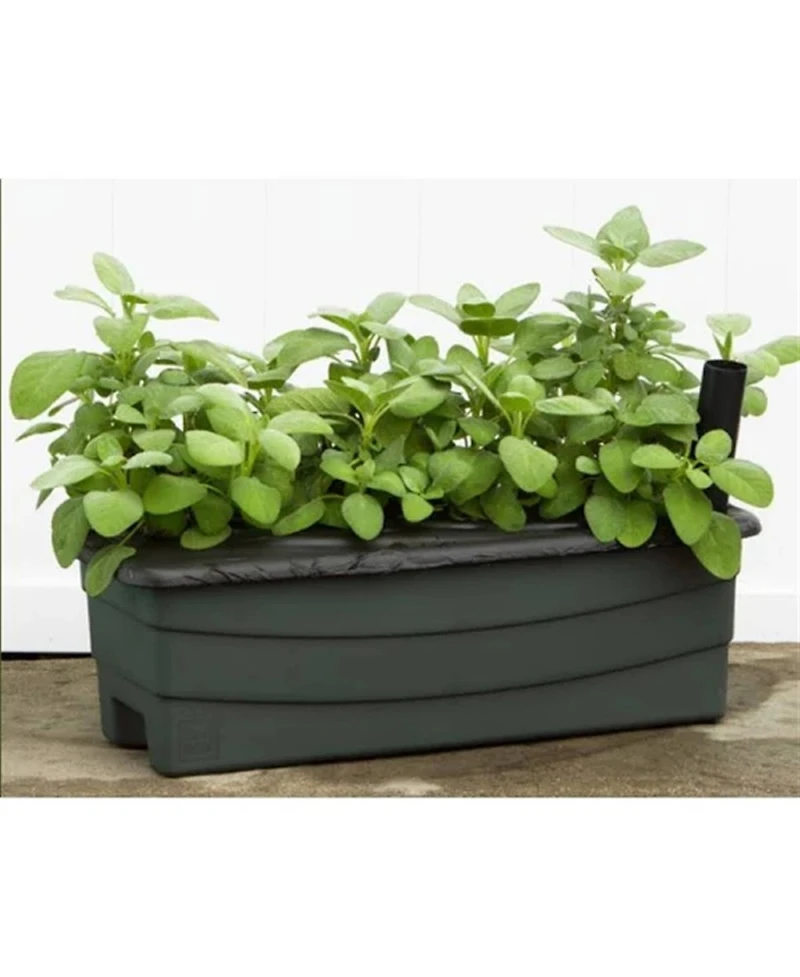 Novelty (80651) EarthBox Junior Garden Kit, Natural, Green