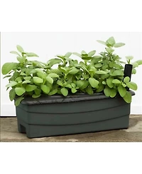 Novelty (80651) EarthBox Junior Garden Kit, Natural, Green