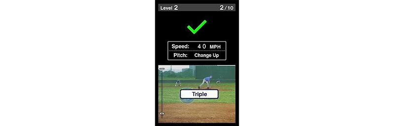 Flash Focus: Vision Training In Minutes a Day - Nintendo Ds