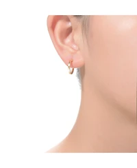 Radiant Sterling Silver & 14K Gold Plated Cubic Zirconia Hoop Earrings