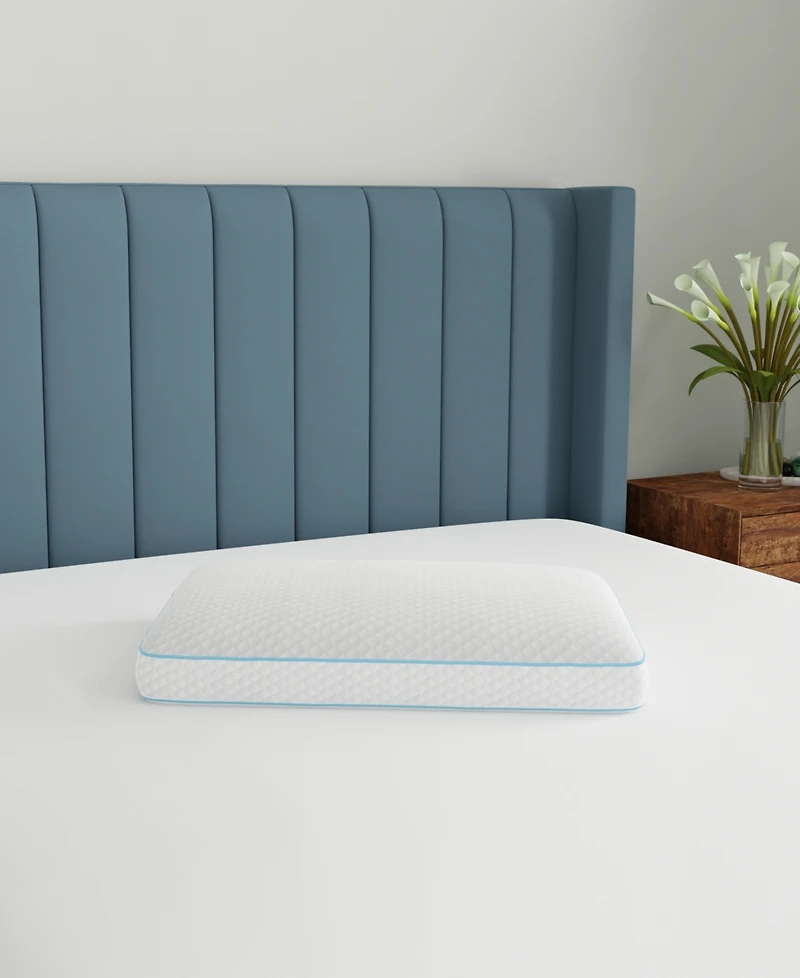 BodiPEDIC Aerofusion Gusseted Gel-Infused Memory Foam Pillow, Jumbo
