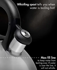 Primula Stainless Steel 3 Quarts Today Colin Whistling Kettle