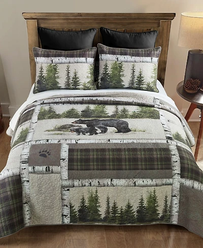Donna Sharp Bear Panels 2 Piece Quilt Set, Twin