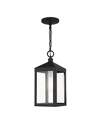 Livex Nyack Light Outdoor Pendant Lantern