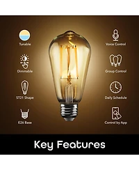 Geeni Lux Edison ST21 (ST64) Edison WiFi Led Smart Bulb, 2700K-6500K 8W, E26 Base, Dimmable, Tunable White Light, Compatible with Alexa & Google Home,