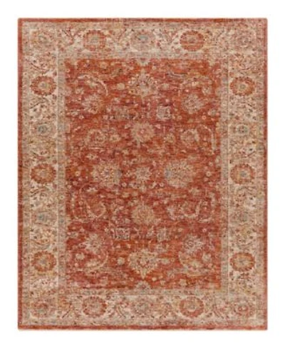 Livabliss Mirabel Mbe 2307 Area Rug