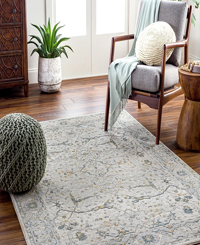 Livabliss Dresden Dre-2309 2' x 3' Area Rug