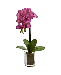 24" Orchid Phalaenopsis Artificial Arrangement in Vase