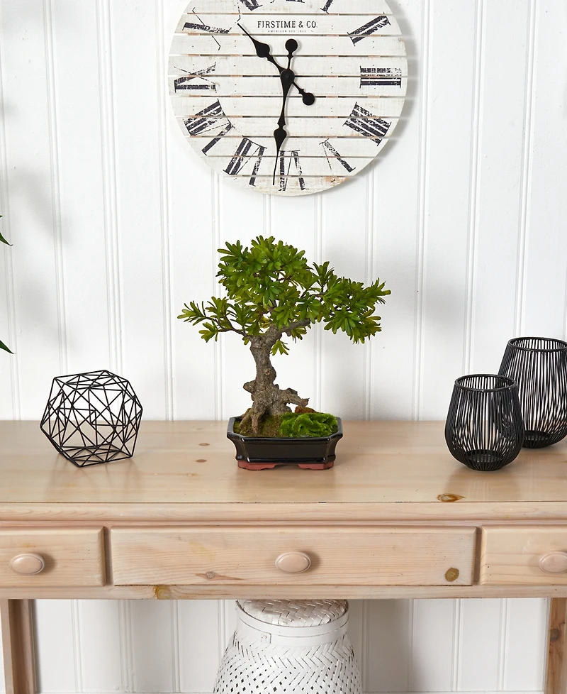 Nearly Natural Podocarpus w/Mossed Bonsai Planter