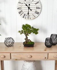 Nearly Natural Podocarpus w/Mossed Bonsai Planter