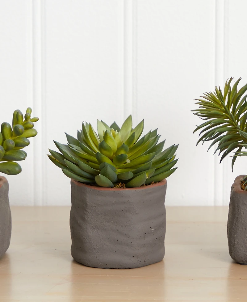 Nearly Natural Trio of Artificial Succulent Plants, Set of 3