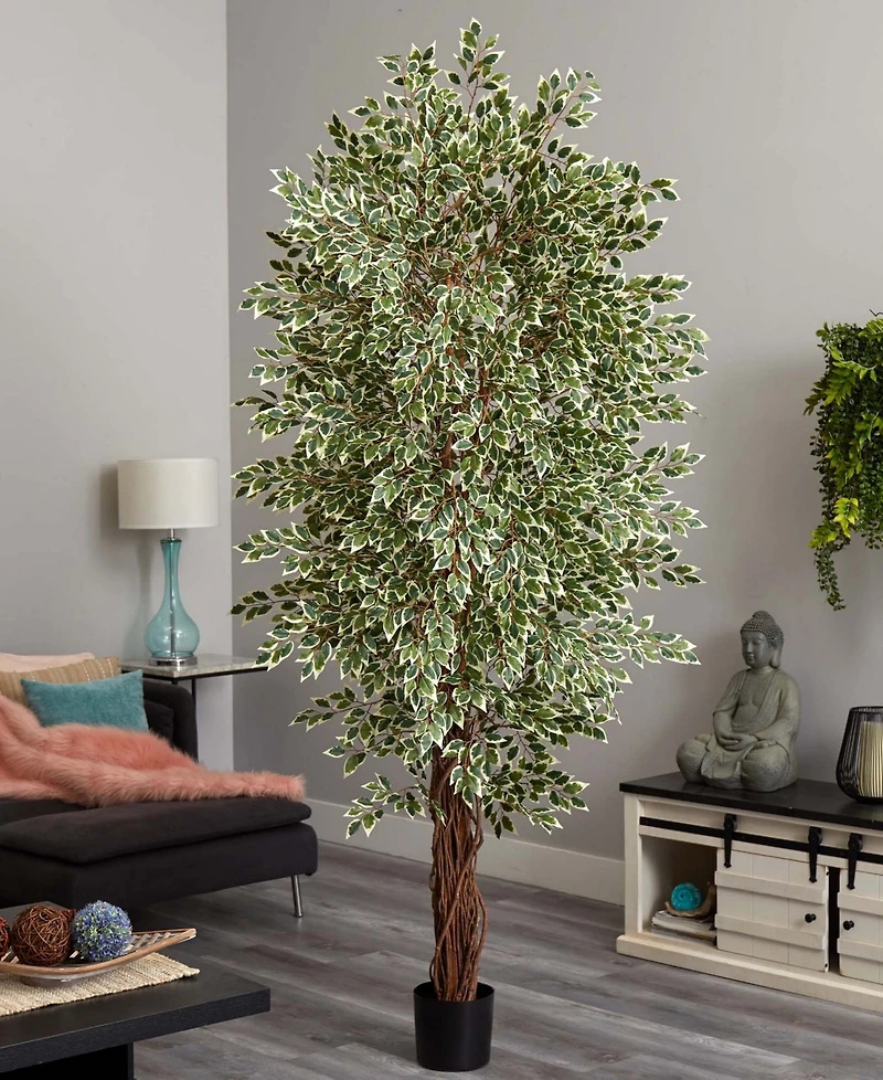 Nearly Natural 7.5' Variegated Mini Ficus Tree