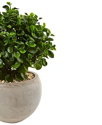 Nearly Natural 2' Eucalyptus Silk Plant in Sand Colored Bowl Uv Resistant