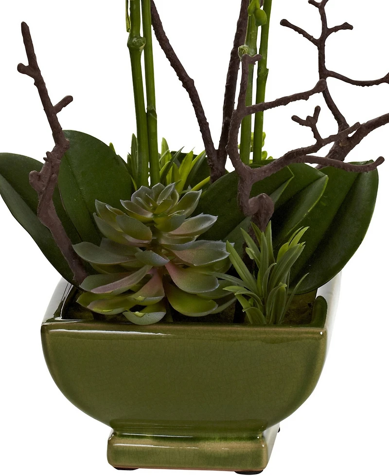Nearly Natural Orchid and Succulent Floral Arrangement