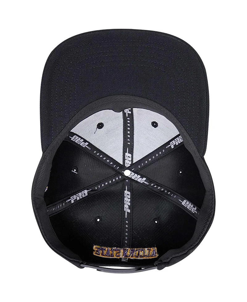 Men's Pro Standard Black Alcorn State Braves Arch Over Logo Evergreen Snapback Hat