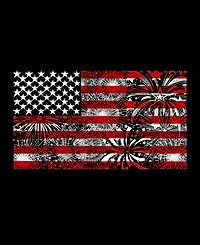 La Pop Art Men's Word Art Crewneck American Flag Fireworks Sweatshirt