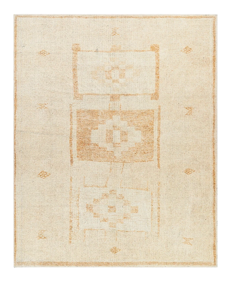Livabliss Solana BOOC2300 3'11" x 5'7" Area Rug